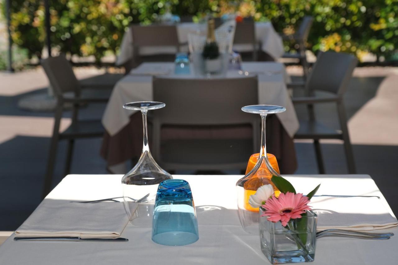 Mimosa Guest house *